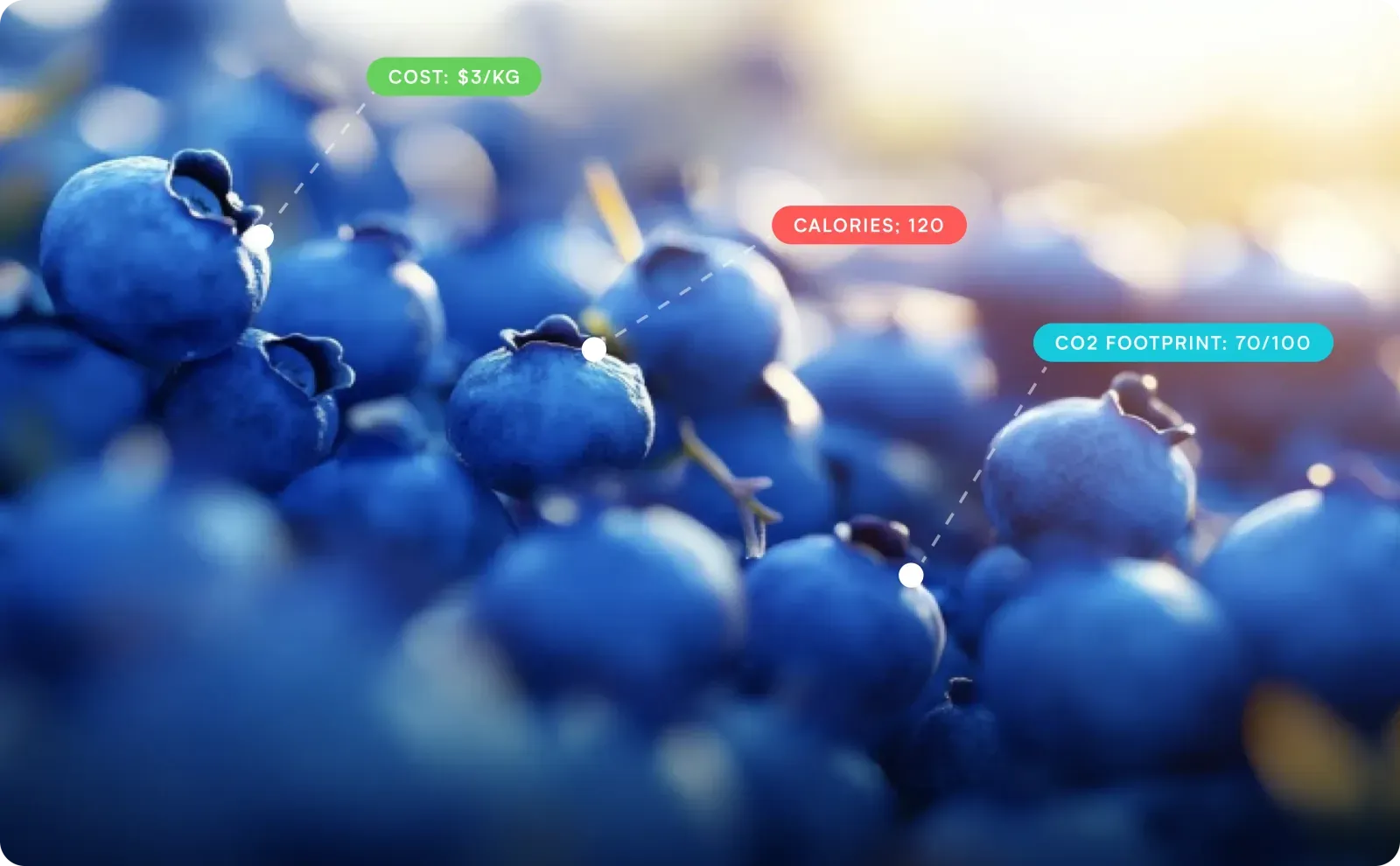 Journey Foods ingredient intelligence visual with cost, calorie, and carbon footprint signals